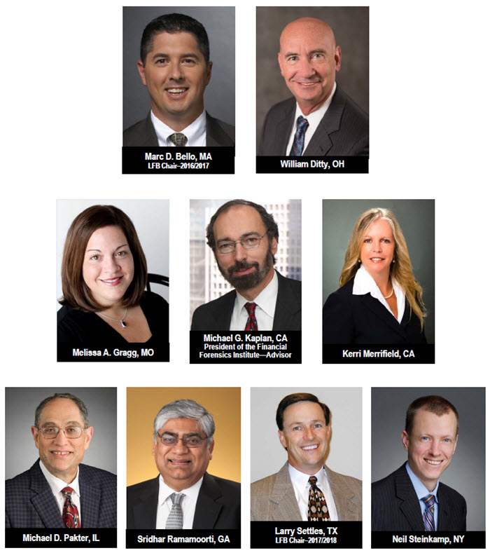 2017 Litigation Forensics Board